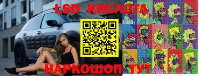 СК Бугуруслан