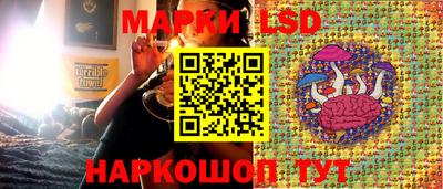 СК Бугуруслан