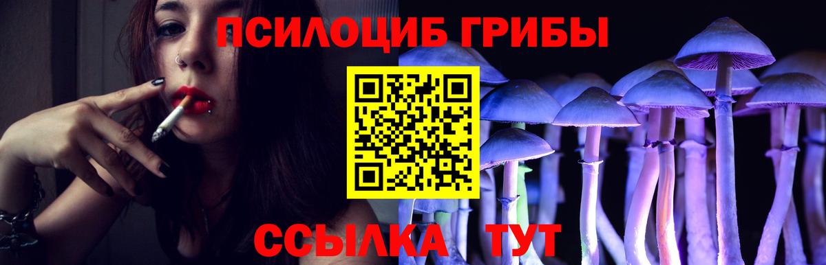 Коммунар  Псилоцибиновые грибы MAGIC MUSHROOMS  Галлюциногенные грибы MAGIC MUSHROOMS  Вход с VPN 